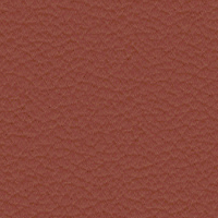 Paloma copper with matt black base